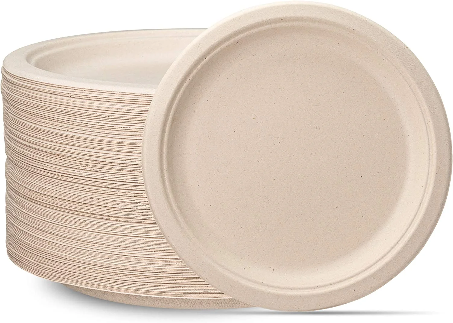 Paper Plate