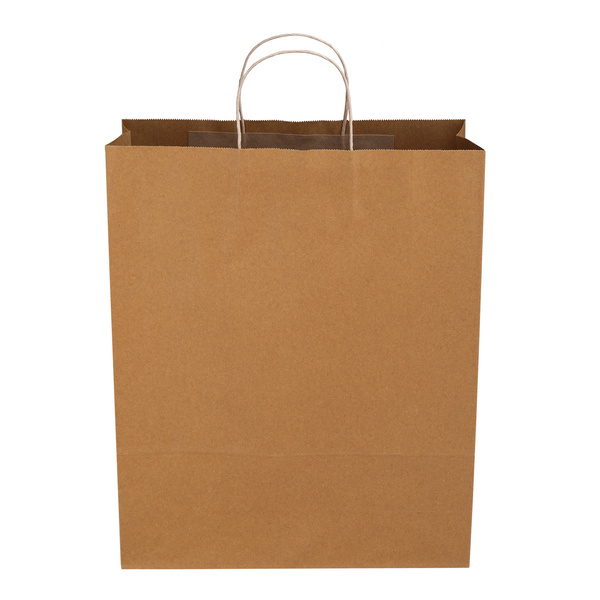 Twisted Handle Bag